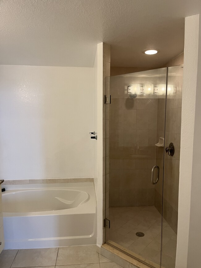 Master Bathroom Suite - 1830 Radius Dr