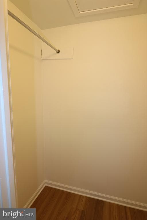 Building Photo - 20404 Shadow Oak Ct