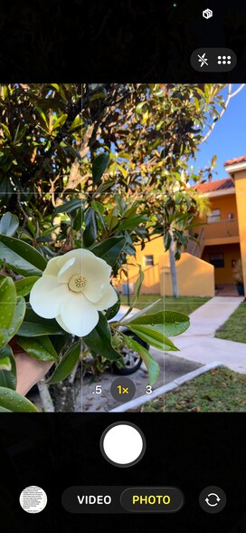 Building Photo - 3888 Coral Tree Cir