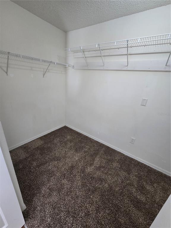 Building Photo - 12023 Cedarfield Dr