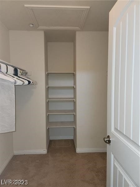 Building Photo - 2318 Steamers Ave