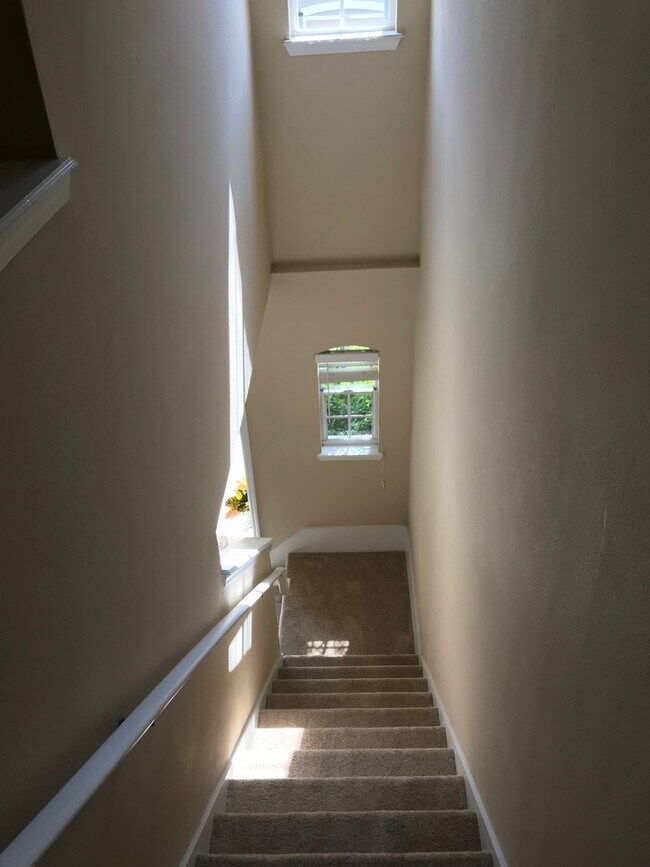 Building Photo - 629 Pinebranch Cir