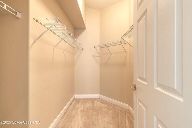 Building Photo - 1442 Areca Palm Dr