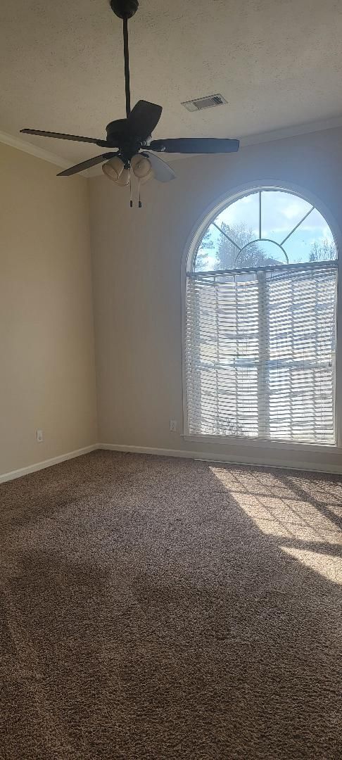 Building Photo - AVAILABLE NOW - CALL US FOR A SHOWING!