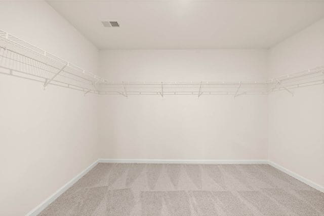 Building Photo - 3408 Appaloosa Trl
