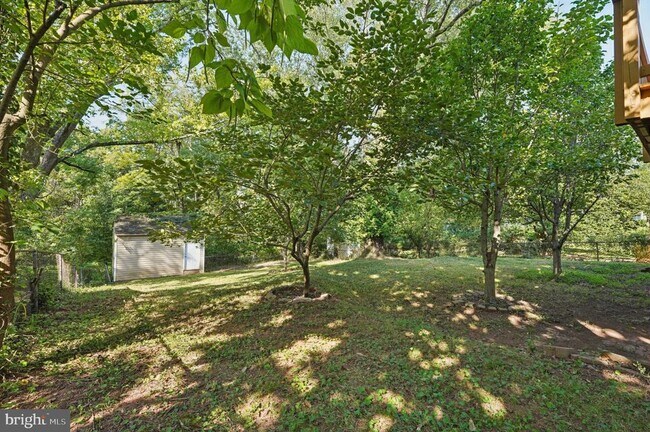 Building Photo - 229 Cabbel Dr