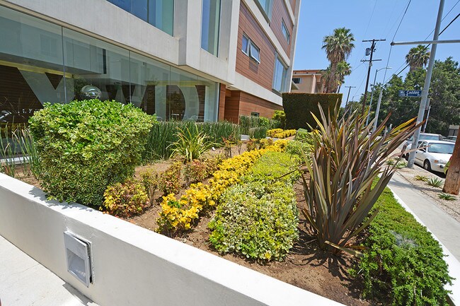 Building Photo - 6735 Yucca St