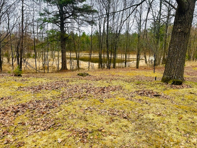 Backyard - 11336 N Sunset Cir
