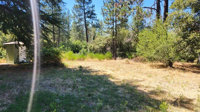 Building Photo - Lovely cottage home located minutes from Yuba devide