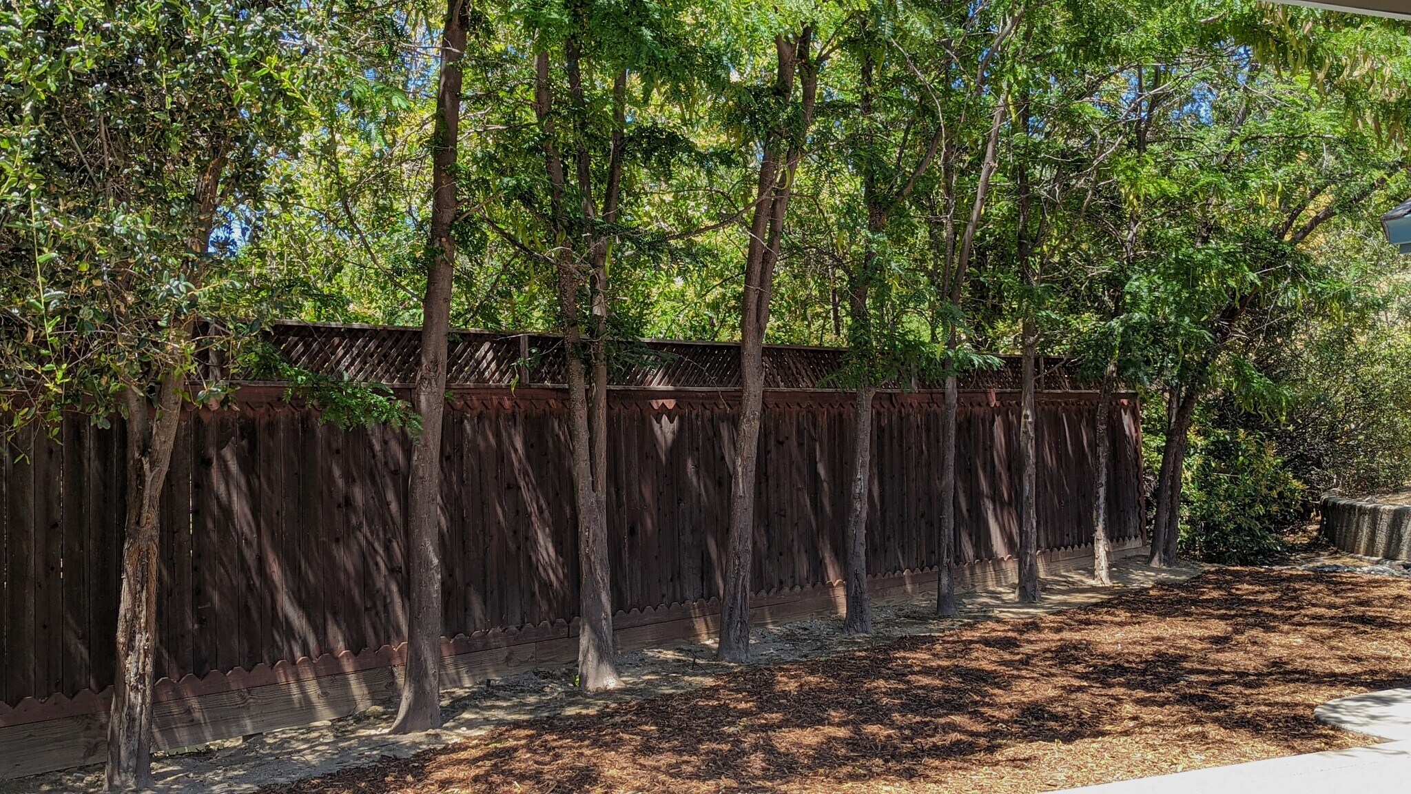 Building Photo - 1043 Diamante Robles Ct