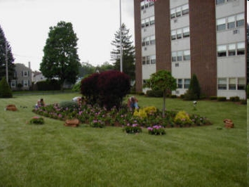 Building Photo - The Brook Apartments-(Senior)