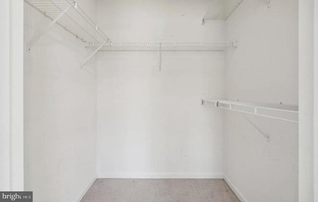 Building Photo - 4151 Castlecary Ln