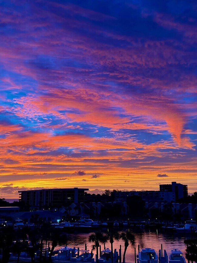 Building Photo - 2701 N Ocean Blvd