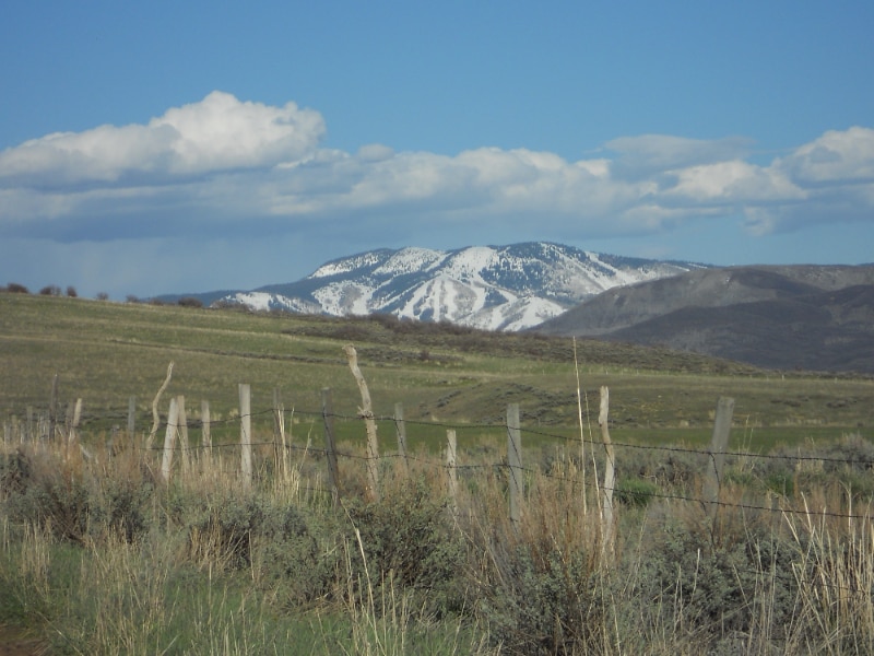 Building Photo - 39021 Holly Ln