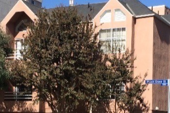 Primary Photo - 11205 Peach Grove St