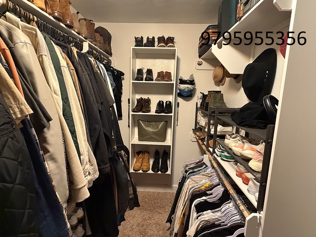 Building Photo - 1202 Brunswick Ct