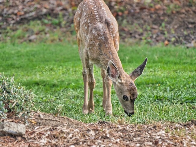 Building Photo - 938 Lea Dr