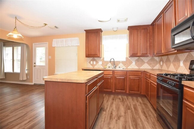 Building Photo - 9619 Babbling Spring Ct