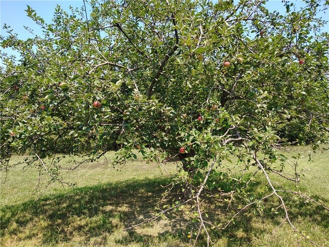 Building Photo - 14894 Trammel Mountain Rd