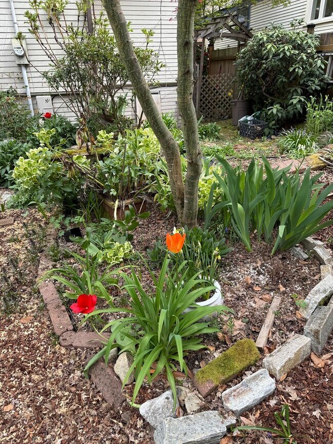 Building Photo - The Perfect Restored University Heights Home -available for rent now!