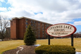 Building Photo - Cinnamon Lake Towers