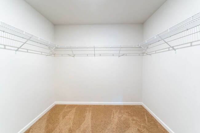 Building Photo - Discover Modern Luxury: Rent Your Dream Home at Nokota Place Community!