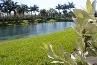 Building Photo - 925 NE 34th Ave