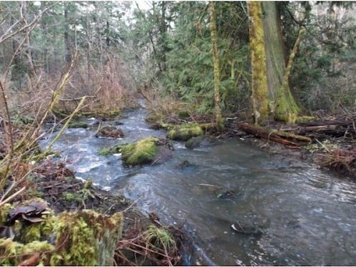 Building Photo - Country Living At Its Finest! Beautiful 3BD/2BA Home~Privacy, Storage, and Beautiful Scenery!