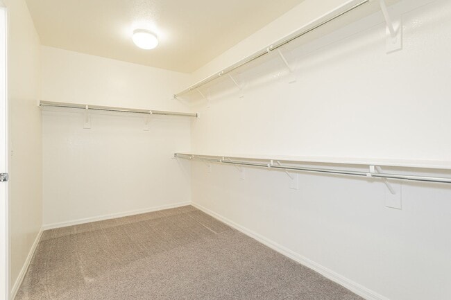 Building Photo - Exquisite 5 bedroom 4 bathroom home with fresh paint and new carpet waiting for you!