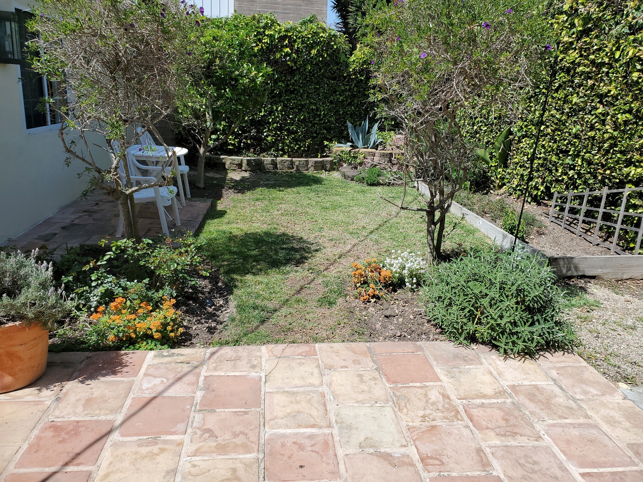 Back yard - 2409 Frey Ave