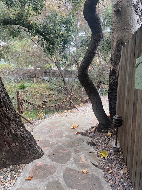 Building Photo - 1268 Old Topanga Canyon Rd