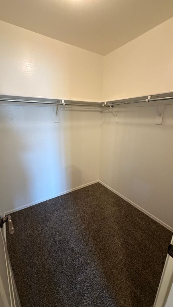 Building Photo - Spacious Surprise home with large backyard