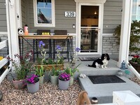 Building Photo - 339 Condor Wy