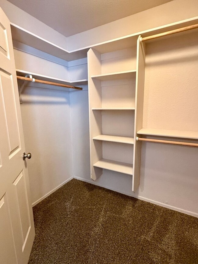 Building Photo - Corner Lot Home In Mesa Del Sol