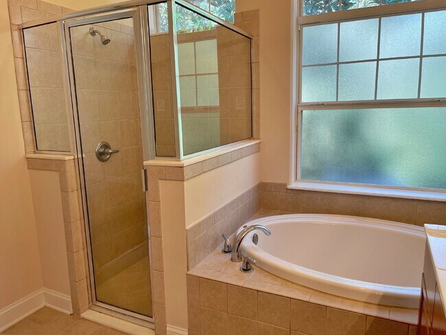 Building Photo - 3BR|3BA Palencia Patio Home