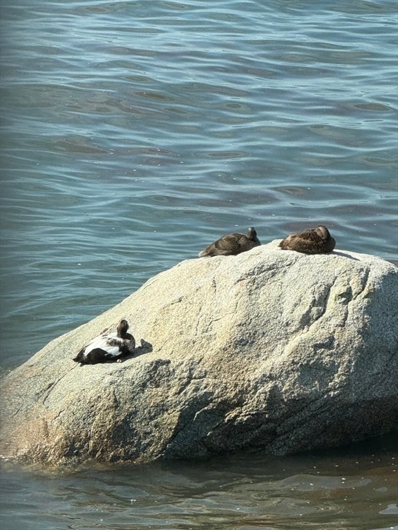 Building Photo - 42 Phillips Rd