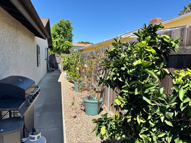 Building Photo - Beautifully Updated 4 Bedroom, 3 Bath Sing...