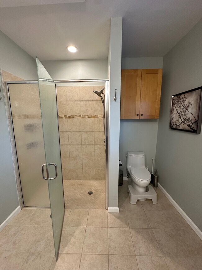 Zero entry shower with removable handheld shower head - 4804 Friends School Rd