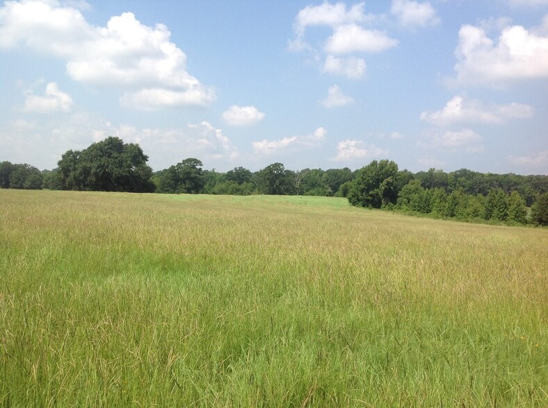 Building Photo - 1800 County Road 4817