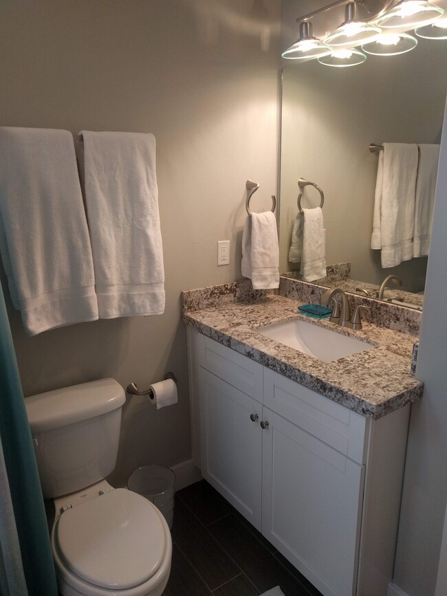 2nd floor bathroom - 315 E Oak Hollow Dr