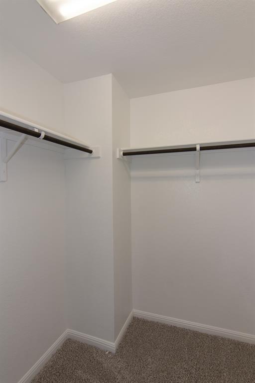 Building Photo - 100 Flat Creek Ct