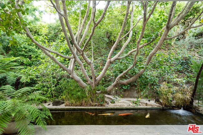 Building Photo - 1121 Loma Vista Dr