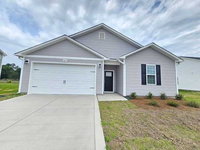 Building Photo - Newly Built Home In Raeford NC