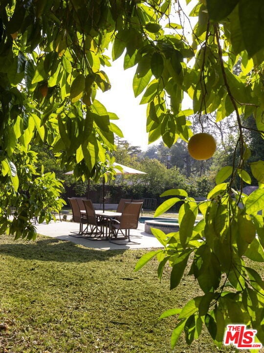 Building Photo - 5124 Calenda Dr