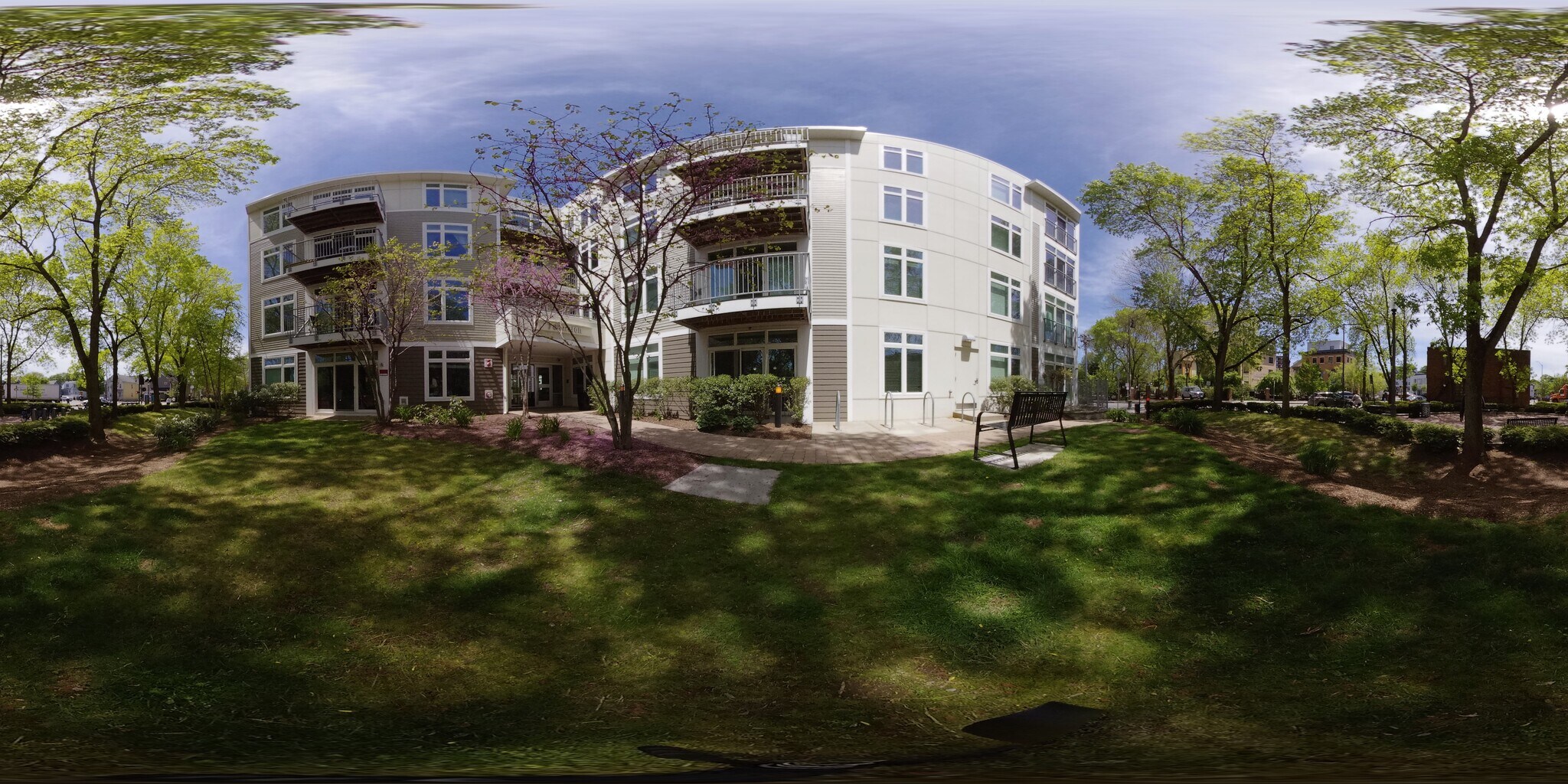 Building Photo - 7 Cameron St