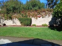 Building Photo - 413 Morales Ct