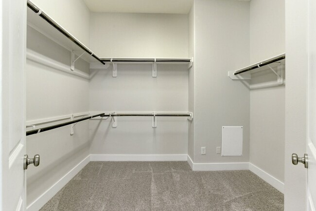 Building Photo - 1512 Reed Hollow Ln