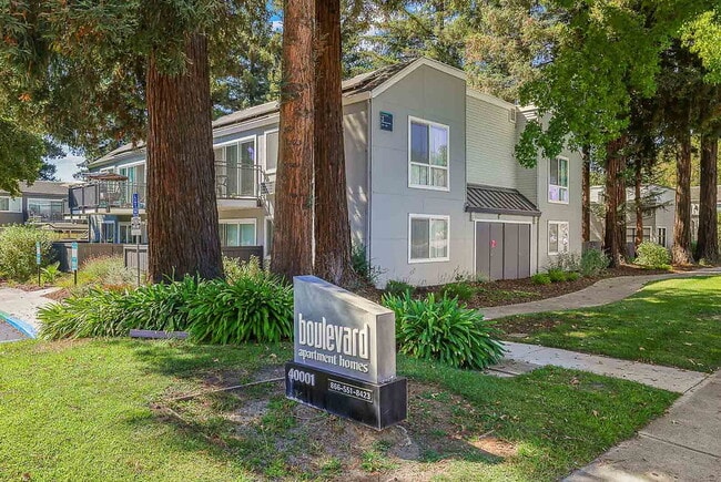 Primary Photo - Boulevard