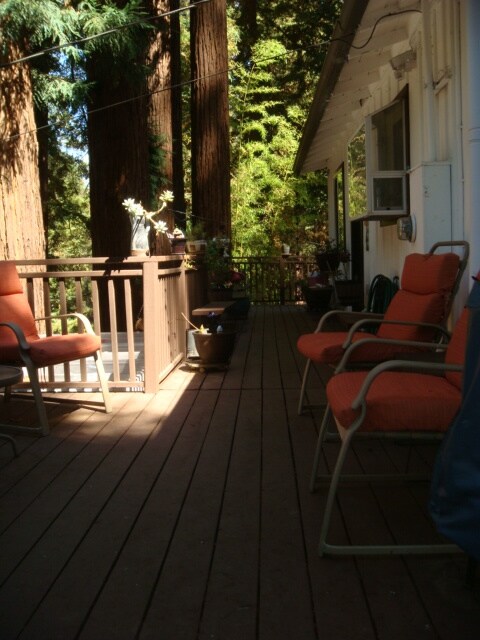 Back Deck - 1841 Pool Rd