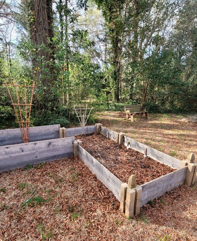 Building Photo - Beautiful Home